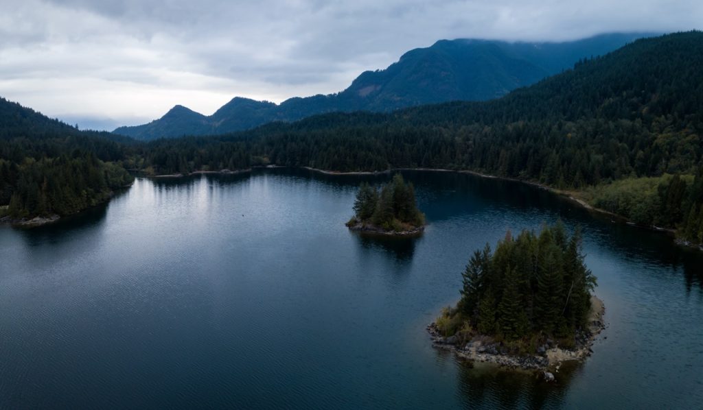 Cultural Festivals Celebrating Diversity in BC